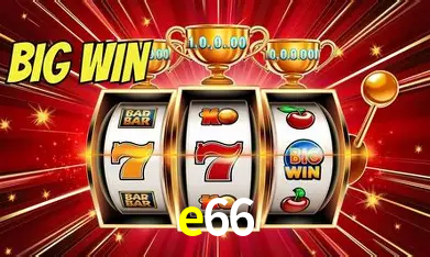 Flash Promotion e66