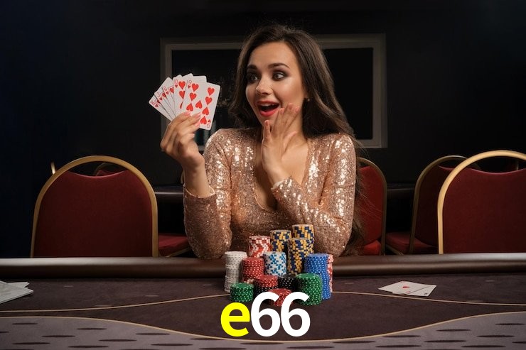 Ofertas Exclusivas e66